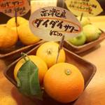 From Takatsu Ward [Orange Sour]