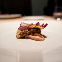 フォリオリーナ・デッラ・ポルタ・フォルトゥーナ - 