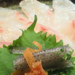 博多 魚頂天 - 石鯛の薄造り
