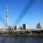 TROIS CUIT ASANUMA - 窓から見えるスカイツリー。網入りガラスなので、斜めに走る変な線はご愛嬌。