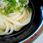 Fujimi Udon - 