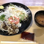 Uo to to - しらすとネギトロの二色丼