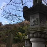 すずめ庵 - 灯篭の鹿さん