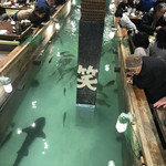 ざうお - 鮫はペット