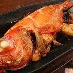 豪快 立ち寿司 - 