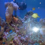 てぃーあんだ - 