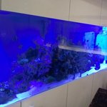 てぃーあんだ - 