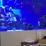 てぃーあんだ - 