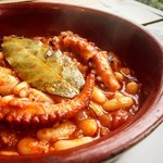 PULPO - 