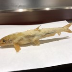 旬彩天 つちや - 