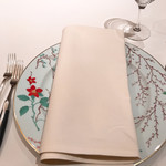 ミクニナゴヤ - 