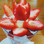 ココナッツアイランド - 