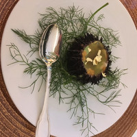 デュ・ヴァン・ハッシシ - 