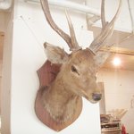 エーテル - 店内