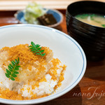 たきや - ふぐの天ぷら、カラスミ