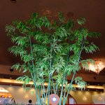 ガーデンラウンジ - 