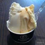 プレマルシェ・ジェラテリア - 左：タイランド･ココナッツ(ヴィーガン仕様)。右：ラムレーズン(ミルクベース)。