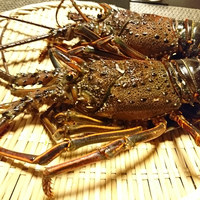 鯛良 六本木店 - 
