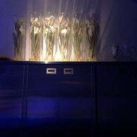 International cuisine subzero - 