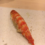 すし岩瀬 - 車海老