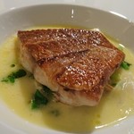 ラシェット・ブランシュ - 