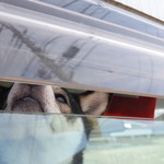 ピッザピッザピッザ - 