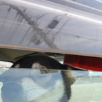 ピッザピッザピッザ - 