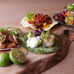 Modern Mexican MAYAluz