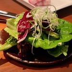 生粋 - 塩ダレサラダ