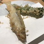 Tempura Shinjuku Tsuna Hachi - 