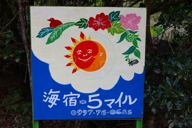 5マイル 瀬戸内町その他 旅館 食べログ 5マイル 瀬戸内町その他 旅館 食べログ