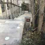 ダンディゾン - この階段、結構1段1段が広いため危ないです(笑)