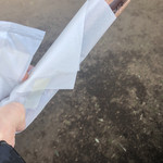 ダンディゾン - 