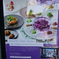 スミレオオサカ - 