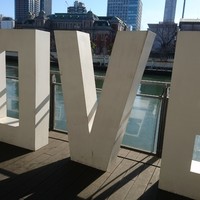 スミレオオサカ - 