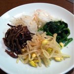 韓国焼肉料理 楽園亭 - ナムル盛り合わせ
            