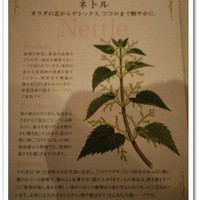 ジャッジョーロ銀座 - 