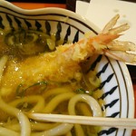 道頓堀 今井 - 単品 天ぷら うどん 1,458円+おむすび(小)2個 = 1,620円 2019年01月