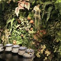 Shangri-La's secret ROPPONGI - 