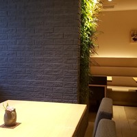 梅田 璃泉 本店 - 