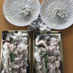 あかい - 河豚３尾、６人前（大量に余りました）