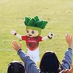 秩父宮ラグビー場 売店 - ライガーくん。