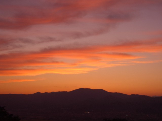 カームヒル（CalmHill） - 茂吉記念館前（ピザ）の写真