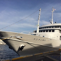 THE KOBECRUISE コンチェルト - 