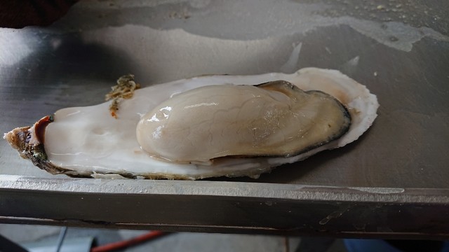 三陸山田 かき小屋 岩手船越 魚介料理 海鮮料理 食べログ