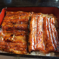 うなぎ藤田 白金台店 - 