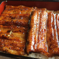 うなぎ藤田 白金台店 - 