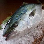 響 カレッタ汐留店 