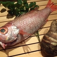 のどぐろ専門 銀座中俣 はなれ - 