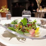 レフェルヴェソンス - 